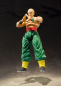 Preview: Tenshinhan S.H.Figuarts