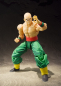 Preview: Tenshinhan S.H.Figuarts