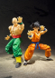 Preview: Tenshinhan S.H.Figuarts