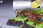 Preview: TMNT: Origins Diorama-Statue 1:1, Teenage Mutant Ninja Turtles, 13 cm