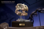 Preview: T-Rex Head Skull Statue Wonders of the Wild, 30 cm