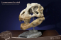 Preview: T-Rex Head Skull Statue Wonders of the Wild, 30 cm