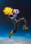 Preview: Trunks Web Exclusive