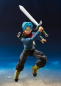 Preview: Trunks Web Exclusive