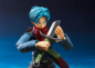 Preview: Trunks Web Exclusive