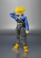 Preview: Trunks Premium Color