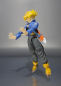 Preview: Trunks Premium Color