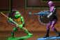 Preview: Turtles in Time