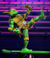 Preview: Turtles in Time