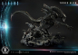 Preview: Tusked Alien (Bonus Ver.) Statue Premium Masterline Series, Aliens (Dark Horse Comics), 72 cm