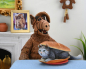 Preview: Ultimate ALF Actionfigur, 12 cm