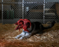 Preview: Ultimate Dog Creature Actionfigur Deluxe, Das Ding aus einer anderen Welt, 18 cm