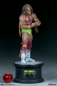 Preview: Ultimate Warrior