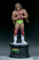 Preview: Ultimate Warrior