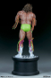 Preview: Ultimate Warrior