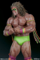 Preview: Ultimate Warrior