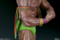 Preview: Ultimate Warrior