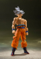 Preview: Son Goku