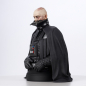 Preview: Darth Vader Büste 1:6, Star Wars: Episode VI, 15 cm