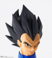 Preview: Vegeta