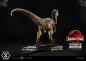 Preview: Velociraptor (Closed Mouth) Statue 1:10 Prime Collectibles, Jurassic Park, 19 cm