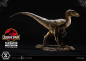 Preview: Velociraptor (Closed Mouth) Statue 1:10 Prime Collectibles, Jurassic Park, 19 cm