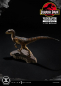 Preview: Velociraptor (Closed Mouth) Statue 1/10 Prime Collectibles, Jurassic Park, 19 cm