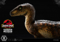 Preview: Velociraptor (Closed Mouth) Statue 1:10 Prime Collectibles, Jurassic Park, 19 cm