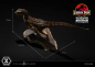 Preview: Velociraptor (Closed Mouth) Statue 1:10 Prime Collectibles, Jurassic Park, 19 cm