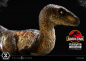 Preview: Velociraptor (Closed Mouth) Statue 1/10 Prime Collectibles, Jurassic Park, 19 cm