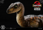 Preview: Velociraptor (Closed Mouth) Statue 1:10 Prime Collectibles, Jurassic Park, 19 cm