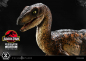 Preview: Velociraptor (Open Mouth) Statue 1/10 Prime Collectibles, Jurassic Park, 19 cm