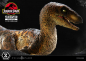 Preview: Velociraptor (Open Mouth) Statue 1/10 Prime Collectibles, Jurassic Park, 19 cm