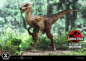 Preview: Velociraptor (Open Mouth) Statue 1/10 Prime Collectibles, Jurassic Park, 19 cm