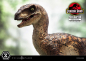 Preview: Velociraptor (Open Mouth) Statue 1/10 Prime Collectibles, Jurassic Park, 19 cm