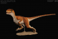 Preview: Velociraptor