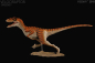 Preview: Velociraptor