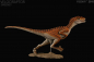 Preview: Velociraptor