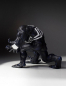 Preview: Venom Collectors Gallery