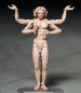 Preview: Vitruvian Man Figma