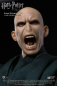 Preview: Voldemort Real Master Series