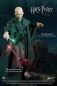 Preview: Voldemort Real Master Series