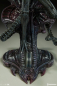 Preview: Alien Warrior Sideshow