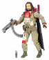 Preview: Black Series Wave19