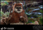 Preview: Wicket