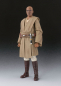 Preview: Mace Windu SHF