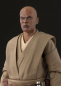 Preview: Mace Windu SHF