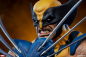 Preview: Wolverine Bust