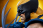 Preview: Wolverine Bust