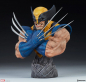 Preview: Wolverine Bust